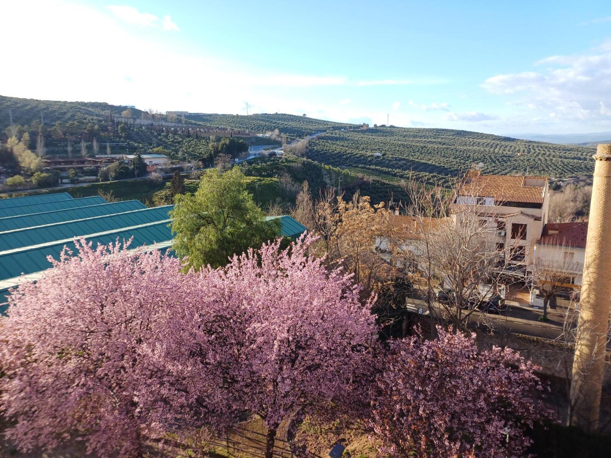 Appartamento Cazorla Live Esterno foto