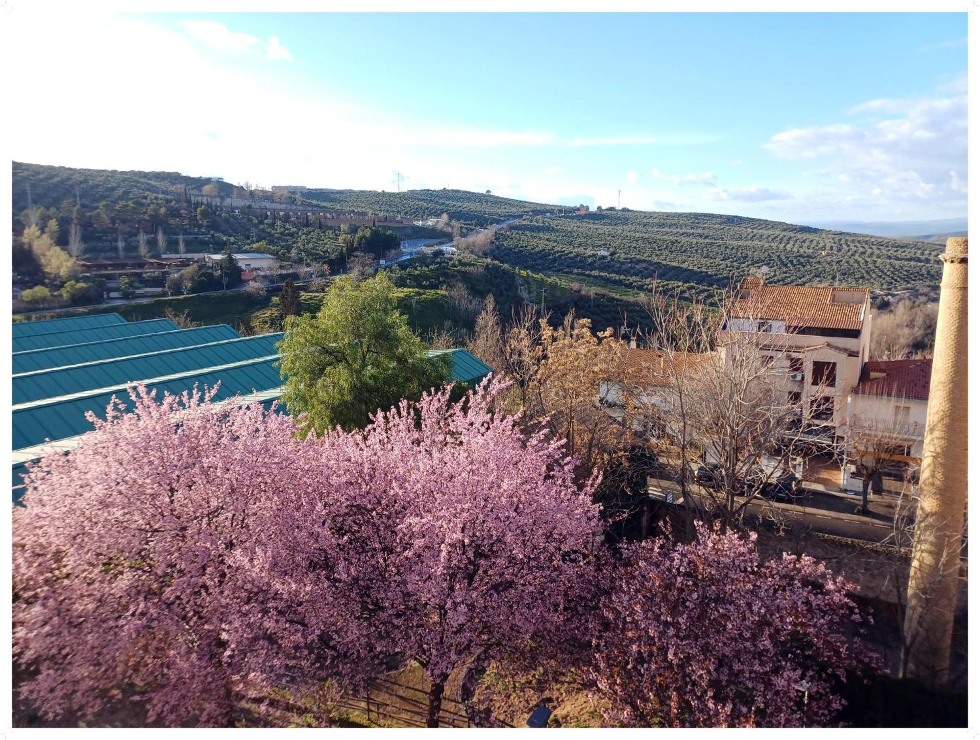 Appartamento Cazorla Live Esterno foto